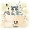 こねこを３匹拾いました(実話)